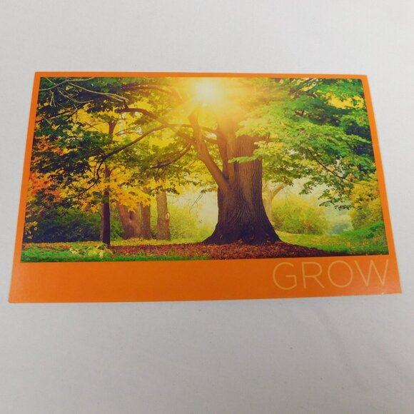 Lot of 5 Fresh Air Fund Folded Blank Note Cards Dream Inspire Adventure Explore - Picture 4 of 8